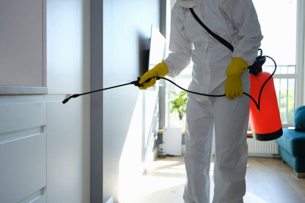 Best HVAC Mold Remediation in Granger, TX